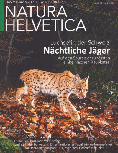 Orchideen - Duftende Versuchung für liebestolle Insektenmännchen (Stephan Girod) Frauenschuh - Cypripedium calceolus (Stephan Girod) Luchse in der Schweiz - Heimliche Jäger der Nacht (Laurent Géslin, Stephan Girod) Mornellregenpfeifer - ein emanzipierter Nordländer auf dem Durchzug durch die Schweiz (Fabian Fopp) Schwarze Mörtelbiene - Megachile parietina (Stephan Girod) Mit Bürsten und Kämmen (Rainer Foelix) Der Sonne entgegen (Marianne Bomio) Galerie (Patrick Loertscher) Schweizerischer Nationalpark - 100 Jahre echt wild - Eine Würdigung zum Jubiläum (Hans Lozza) Graubündens Wappentier - Ausgerottet, wieder angesiedelt (Fabian Fopp, Stephan Girod) Kiesgruben - Wertvolle Refugien für Tiere und Pflanzen (Stephan Girod, Bruno Erb)