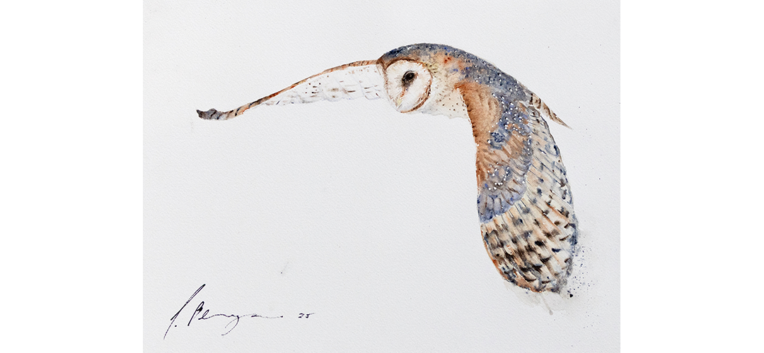 Wenn der Flü­gel­schlag ver­klun­gen&nbsp;ist